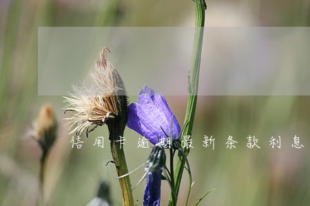 信用卡逾期最新条款利息