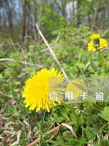 信用卡逾期最新规定刑事责任 信用卡逾期最新规定刑事责任