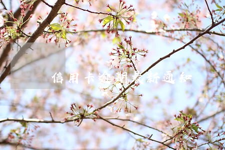 信用卡逾期最新通知 信用卡逾期最新通知