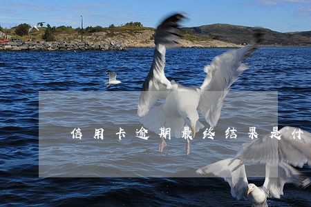 信用卡逾期最终结果是什么 信用卡逾期最终结果是什么