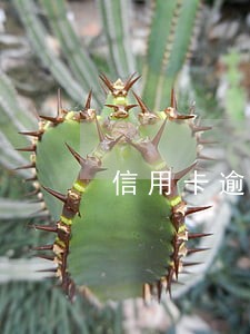 信用卡逾期最近人员名单 信用卡逾期最近人员名单