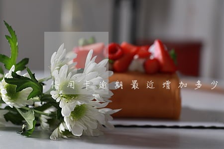 信用卡逾期最近增加多少人