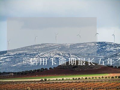 信用卡逾期最长五年个性化分期