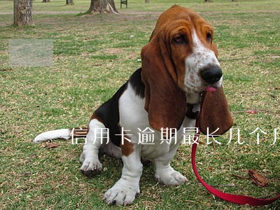 信用卡逾期最长几个月 信用卡逾期最长几个月