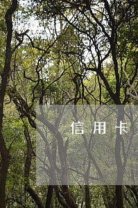 信用卡逾期最长几天 信用卡逾期最长几天
