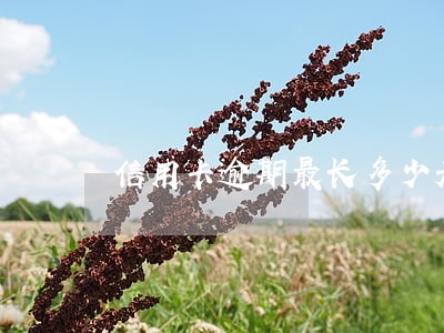 信用卡逾期最长多少天