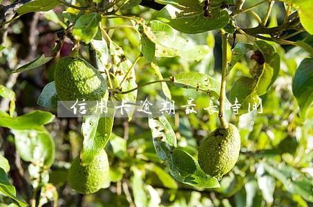 信用卡逾期最长时间 信用卡逾期最长时间