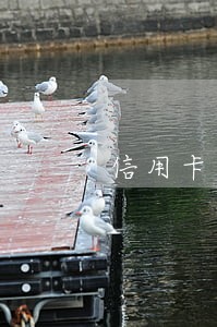 信用卡逾期最长时间多久 信用卡逾期最长时间多久