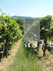 信用卡逾期最长时间的人 信用卡逾期最长时间的人