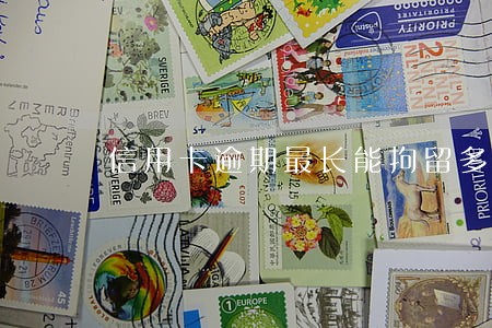 信用卡逾期最长能拘留多久 信用卡逾期最长能拘留多久
