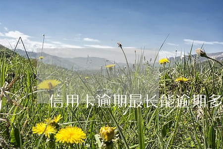 信用卡逾期最长能逾期多少年