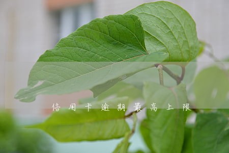 信用卡逾期最高上限