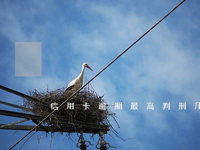 信用卡逾期最高判刑几年