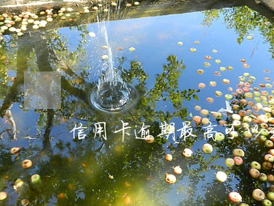 信用卡逾期最高可以到银行还吗 信用卡逾期最高可以到银行还吗