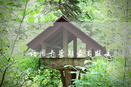 信用卡逾期最高额度