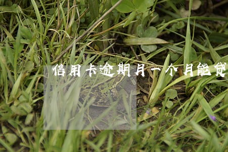 信用卡逾期月一个月能贷款么