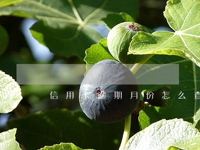 信用卡逾期月份怎么查