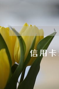 信用卡逾期月分数24是什么 信用卡逾期月分数24是什么
