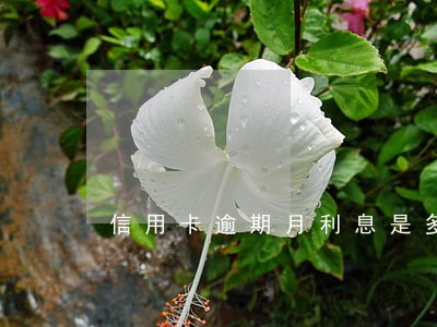 信用卡逾期月利息是多少 信用卡逾期月利息是多少