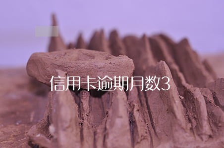 信用卡逾期月数3 信用卡逾期月数3