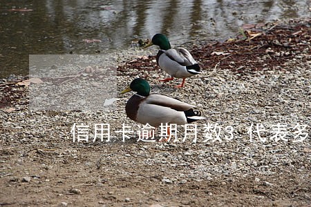 信用卡逾期月数3代表多少天 信用卡逾期月数3代表多少天