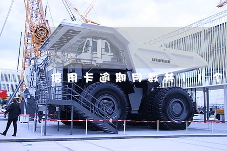 信用卡逾期月数共11个月 信用卡逾期月数共11个月