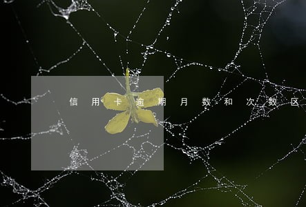 信用卡逾期月数和次数区别 信用卡逾期月数和次数区别