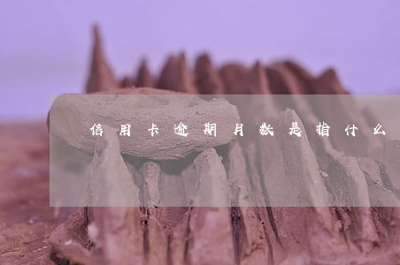 信用卡逾期月数是指什么时候 信用卡逾期月数是指什么时候