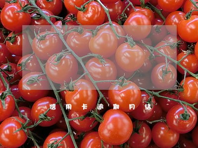 信用卡逾期月结 信用卡逾期月结