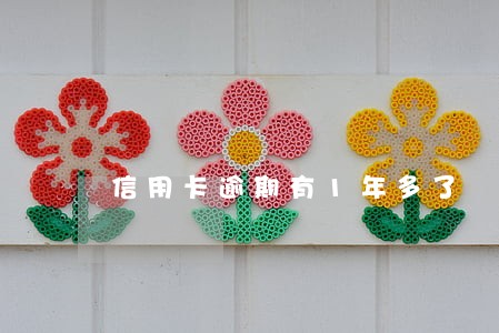 信用卡逾期有1年多了 信用卡逾期有1年多了