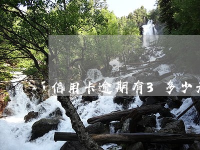 信用卡逾期有3多少天 信用卡逾期有3多少天