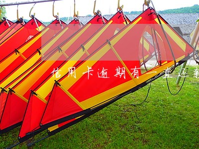 信用卡逾期有一直还款吗 信用卡逾期有一直还款吗