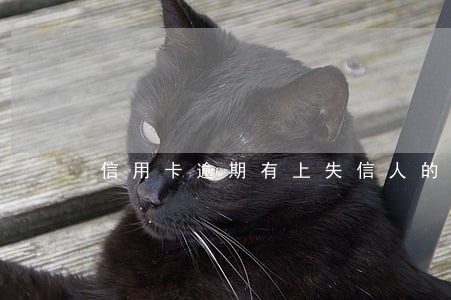 信用卡逾期有上失信人的吗 信用卡逾期有上失信人的吗