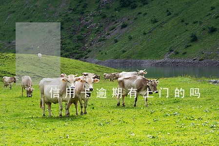 信用卡逾期有上门的吗