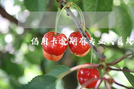 信用卡逾期有专业人员处理吗