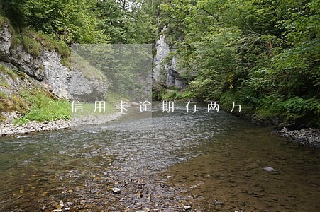 信用卡逾期有两万 信用卡逾期有两万