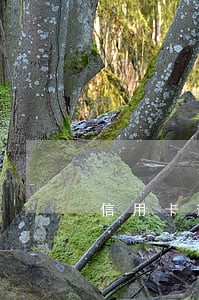 信用卡逾期有个人加我微信 信用卡逾期有个人加我微信