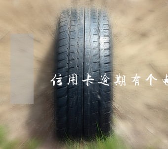 信用卡逾期有个电话自称立案