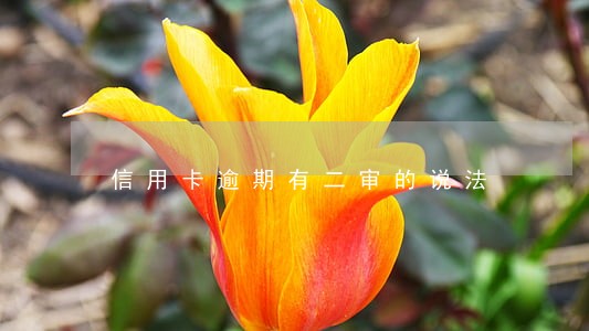 信用卡逾期有二审的说法 信用卡逾期有二审的说法