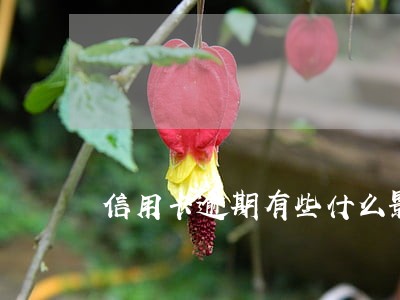 信用卡逾期有些什么影响 信用卡逾期有些什么影响