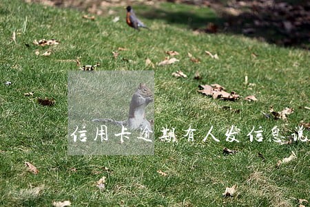 信用卡逾期有人发信息说上门
