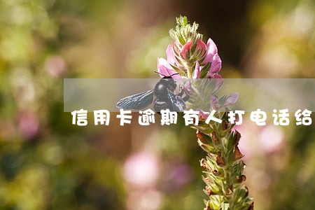 信用卡逾期有人打电话给我说报案 信用卡逾期有人打电话给我说报案