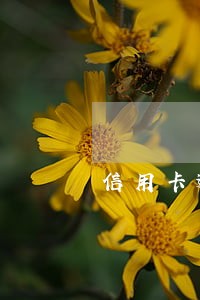 信用卡逾期有人来单位怎么办 信用卡逾期有人来单位怎么办