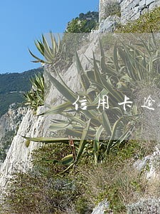 信用卡逾期有人添加微信 信用卡逾期有人添加微信