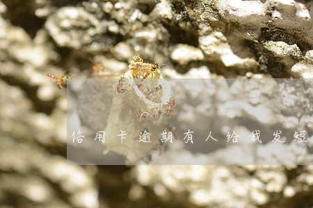 信用卡逾期有人给我发短信 信用卡逾期有人给我发短信