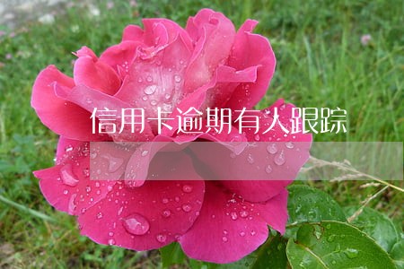 信用卡逾期有人跟踪 信用卡逾期有人跟踪