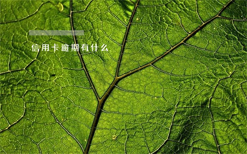 信用卡逾期有什么