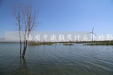 信用卡逾期有什么不好影响