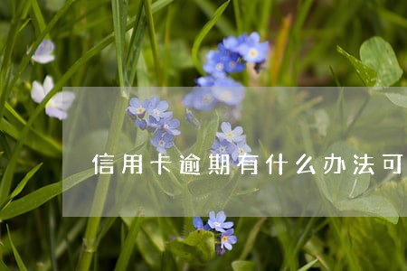 信用卡逾期有什么办法可以贷款 信用卡逾期有什么办法可以贷款