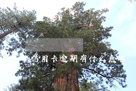 信用卡逾期有什么危害 信用卡逾期有什么危害